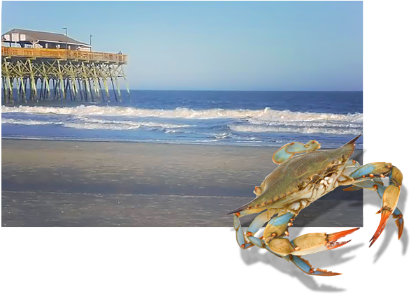 Flapjack's Pancake Cabin May Have Started In The Smoky - Chesapeake Blue Crab (600x425), Png Download