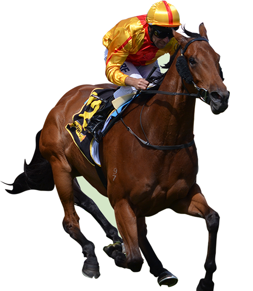 Racing Analysis & Industry Contacts - Browntrout Publishers Horse Racing Slim Calendar 2017 (515x594), Png Download