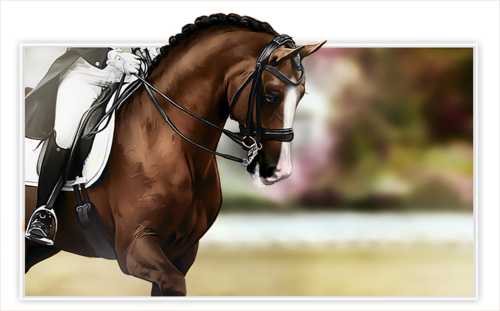 Horse Racing - Horse Photography (500x311), Png Download