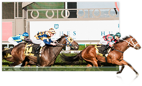 Download The Racing - Sorrel (478x354), Png Download