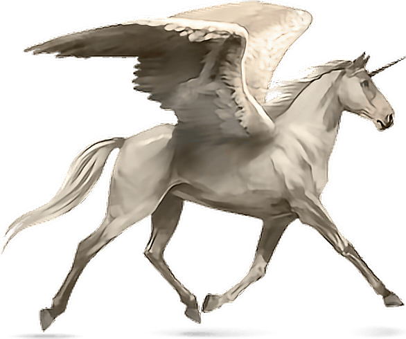 Horse Alado Aladus Cavalo Asas Wings Mikah014 - Howrse Palomino (586x490), Png Download