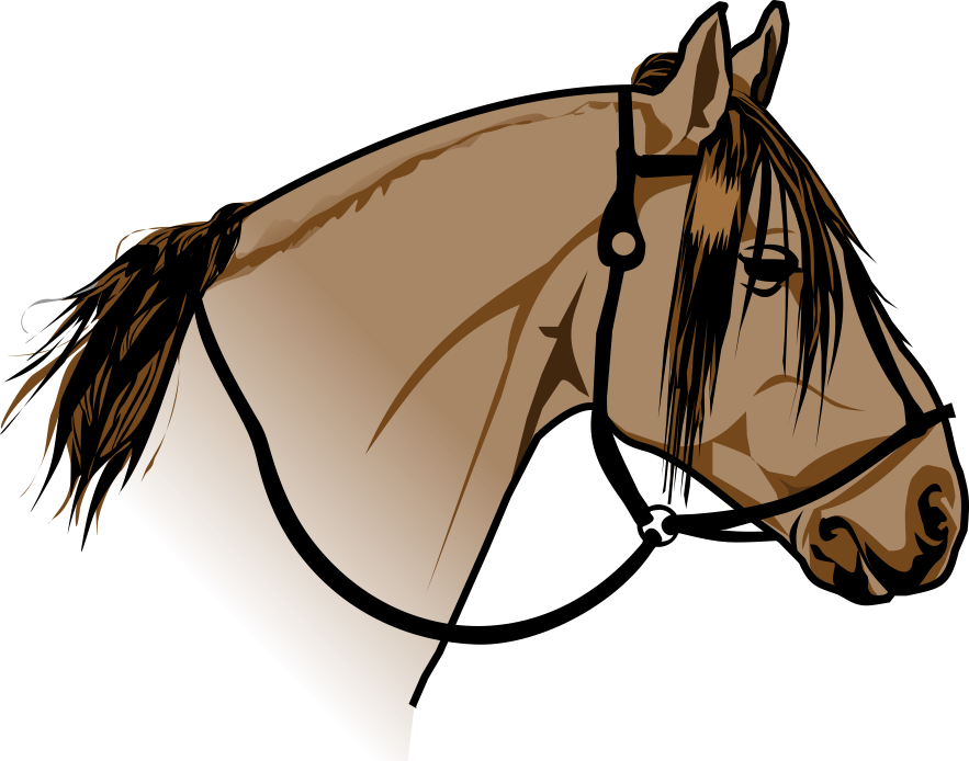 Desenho Disponível Em Vetor - Cavalo Crioulo Png (883x694), Png Download