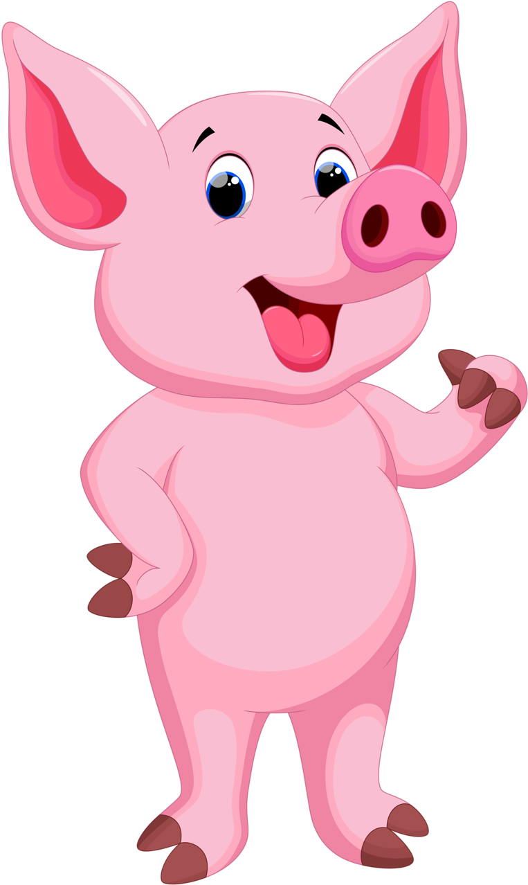 Cartoon Mammal Pig Drawing Pictures Png Cartoon Png - Varken Cartoon (775x1280), Png Download