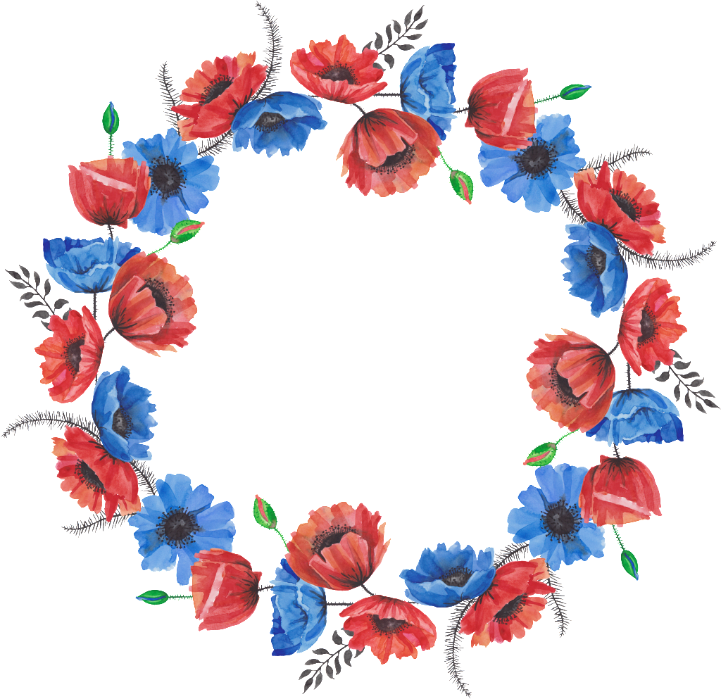 Blooming Flower Wreath Cartoon Transparent - Flower (1024x993), Png Download