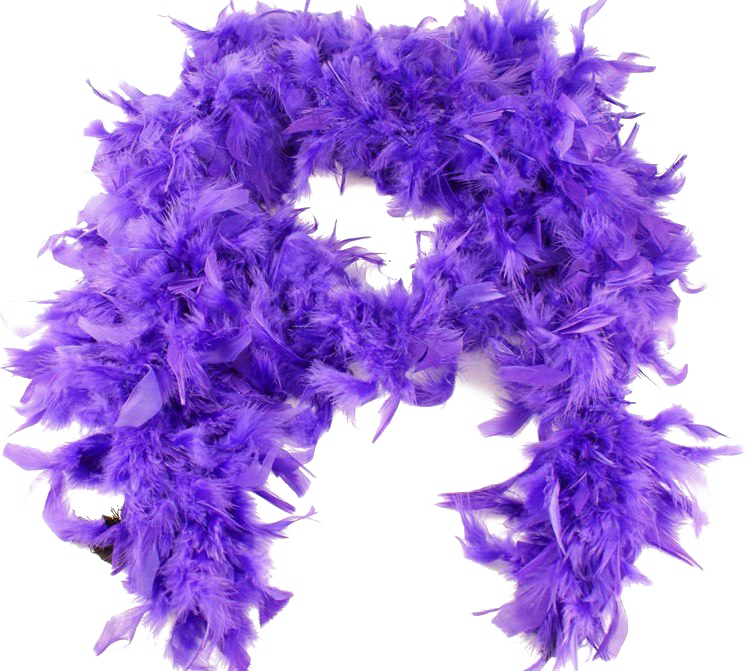 Feather Boa Free Png Image - Purple Feather Boa (750x671), Png Download