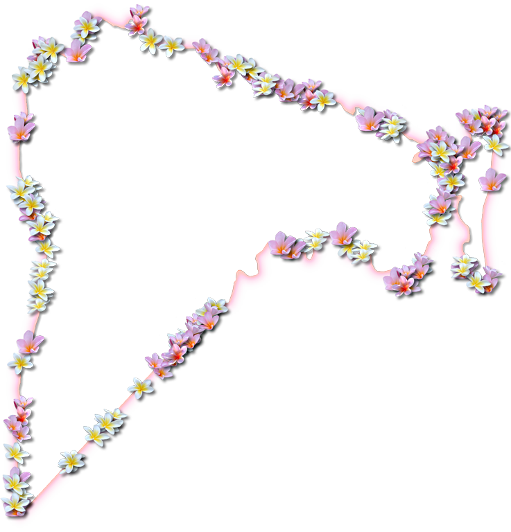 A Map Of Nassau With A Coral Color Glow Border And - Nassau (737x768), Png Download