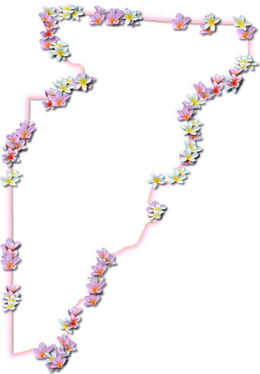 A Map Of Jefferson With A Coral Color Glow Border And - Floral Design (534x768), Png Download