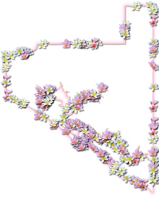 A Map Of Bay With A Coral Color Glow Border And Pink - Illustration (615x768), Png Download