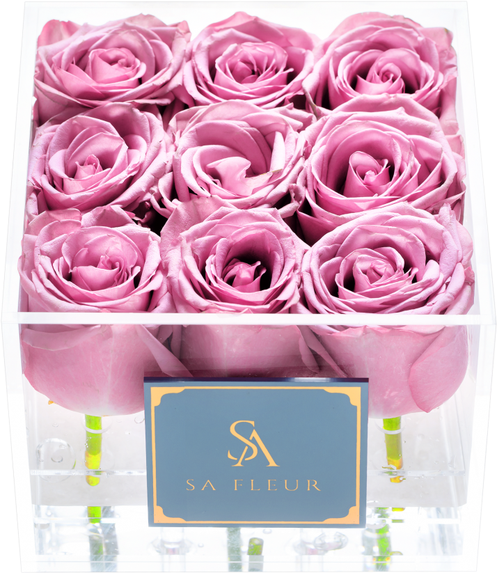 Cupid Box Purple - Cupid-box (1779x1080), Png Download