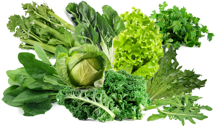 Este Tipo De Hortalizas Son Compatibles Con Tomates - Plain Parsley Petroselinum Crispum 1000 Seeds Herb (824x529), Png Download