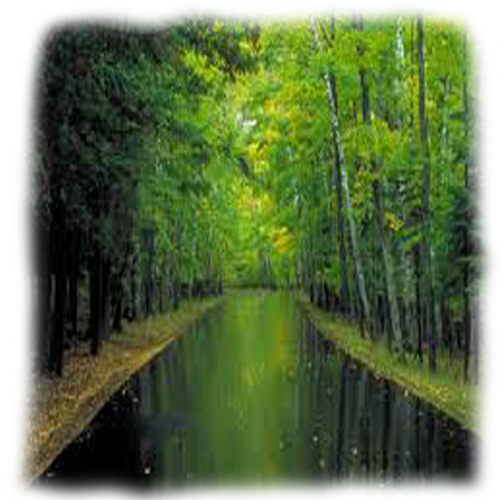 Woodland Water Department (500x500), Png Download