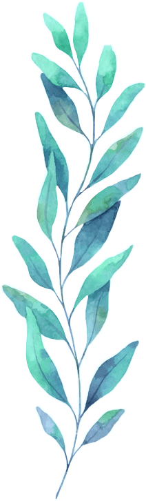 Hoja Verde Green Sheet Spring - Watercolor Eucalyptus (212x726), Png Download