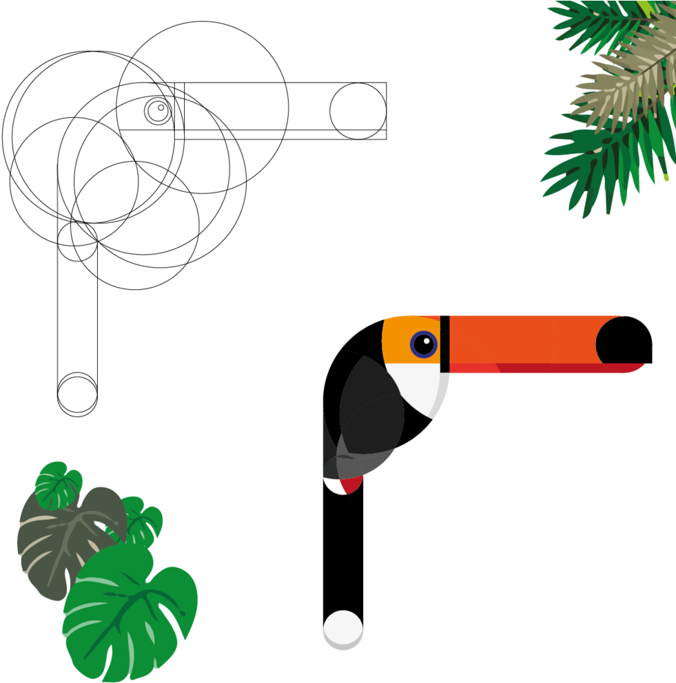 Tucan1-08 (1000x1000), Png Download