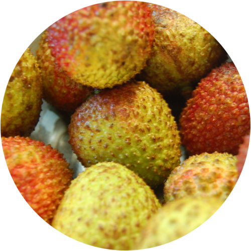 Lychee - Indian Lychee (1000x500), Png Download