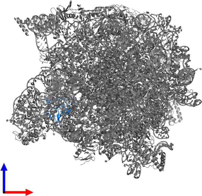 <div Class='caption-body'>pdb Entry 1w2b Contains 1 - Illustration (800x800), Png Download