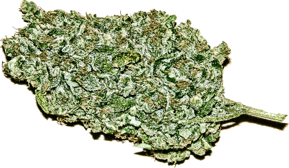 Og Kush (1000x580), Png Download