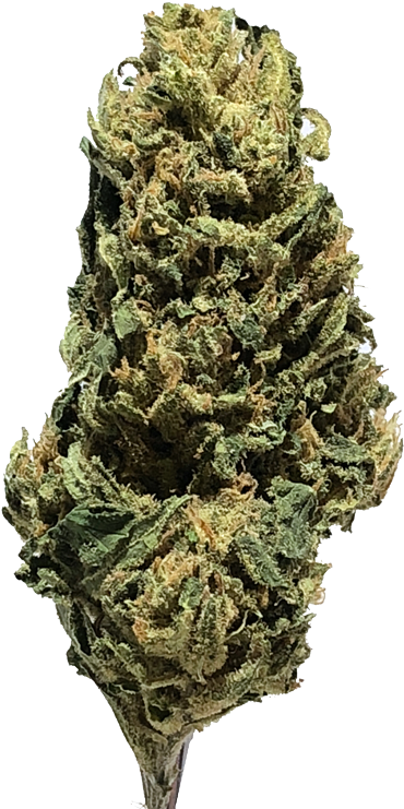 Coconut-kush - Red Pine (800x800), Png Download