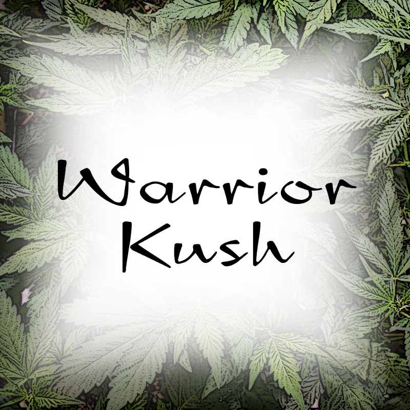 White Pine (800x800), Png Download