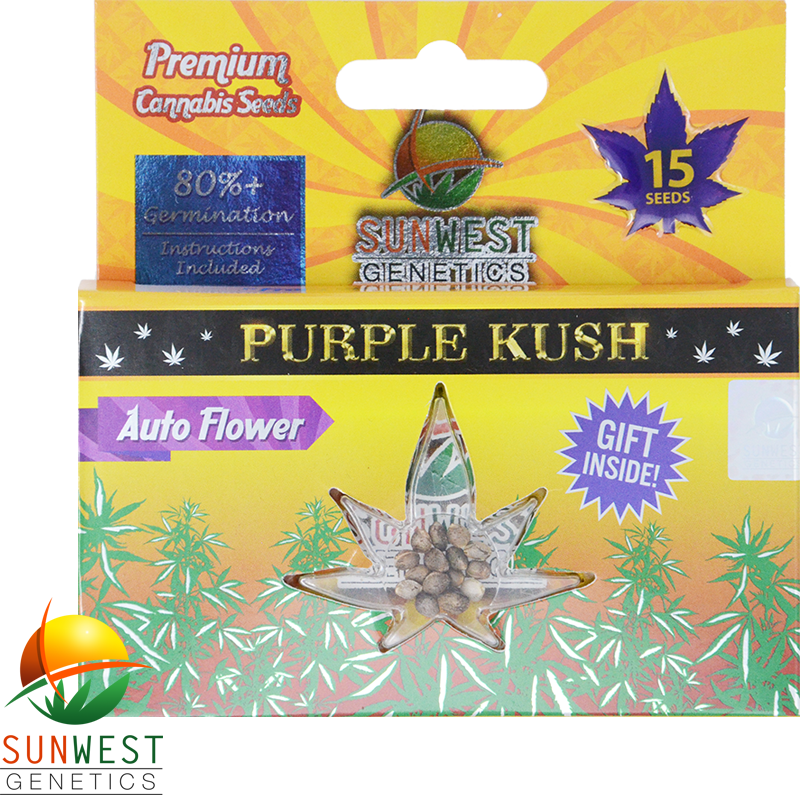 Purple Kush Wholesale Cannabis Seeds - Kush (800x795), Png Download