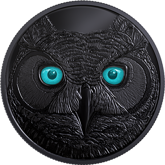 Great Horned Owl (570x570), Png Download