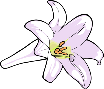 Collection Of Easter Lily Clipart Png High Quality, - Clip Art Of Lily (400x340), Png Download