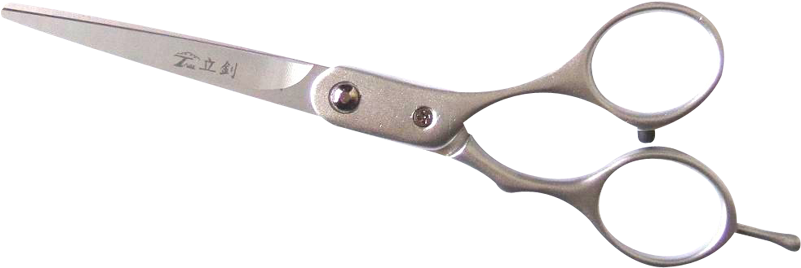 Hair Care (800x500), Png Download