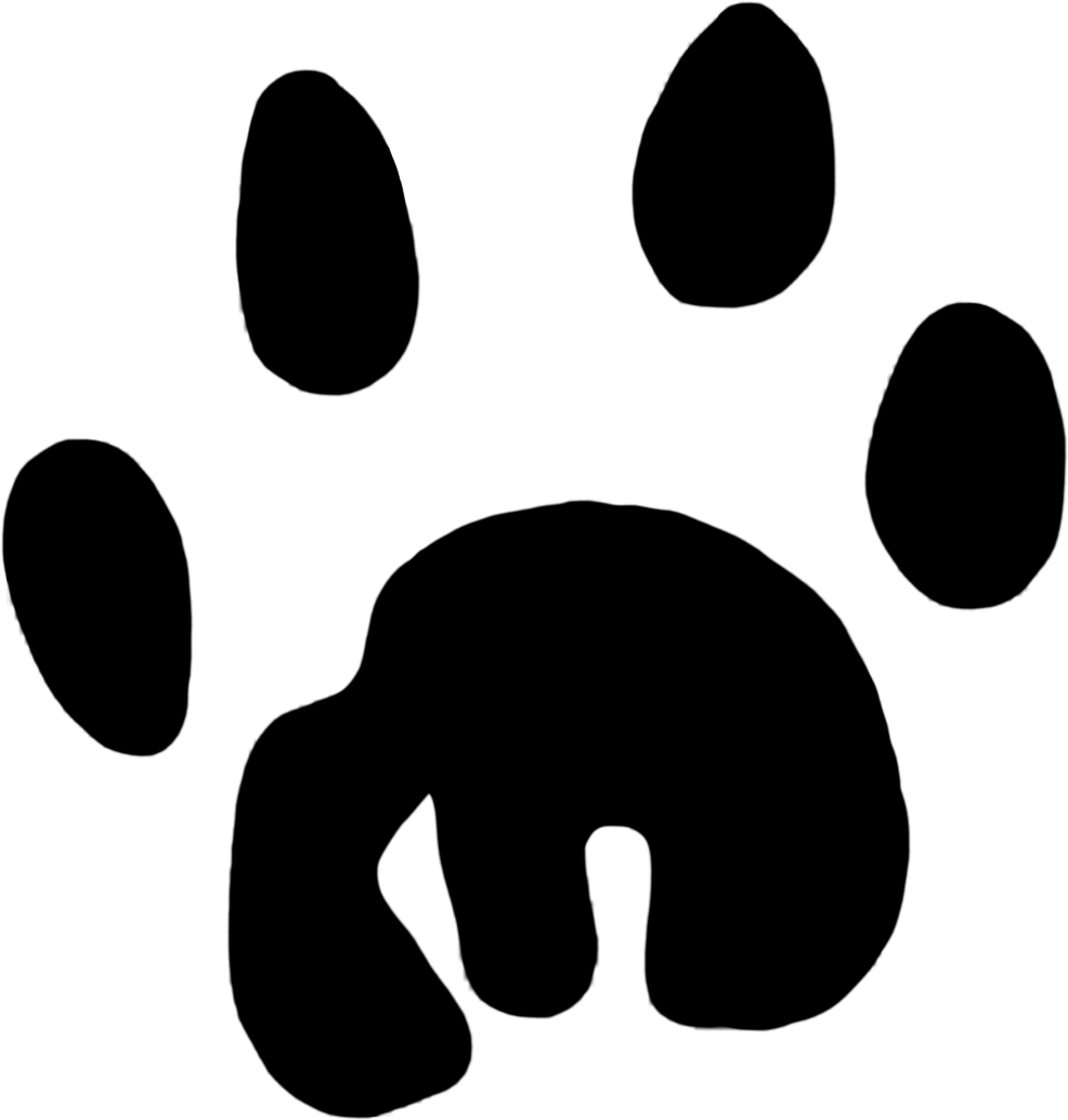 Paw Prints Koala Lion - Koala Footprint Clipart (1027x1063), Png Download