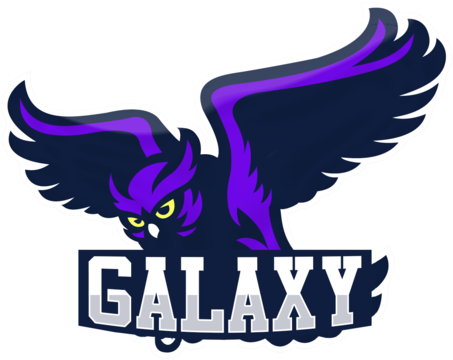 Galaxy Esports - Hobby Vinyl Decal Red Owl Hobby Decor D217 224ca (600x600), Png Download