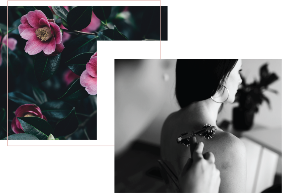 Bobe Beauty Saskatoon Disclaimer - Essential Neruda: Selected Poems [book] (1000x718), Png Download