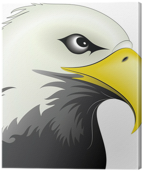 Eagle Face (400x400), Png Download