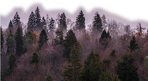 Level1-494x904 - Sulle Tracce Dell'inganno (494x904), Png Download