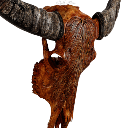 Carved Buffalo Skull - Skull (430x430), Png Download