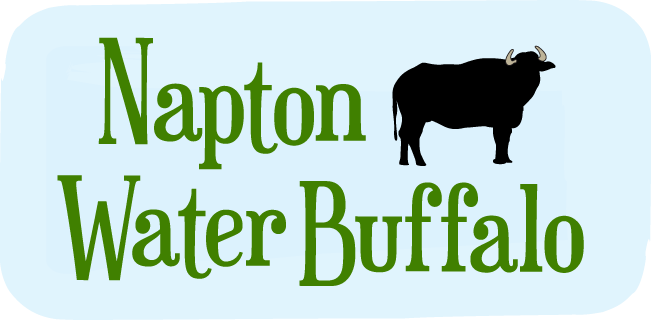 Water Buffalo Napton (651x320), Png Download