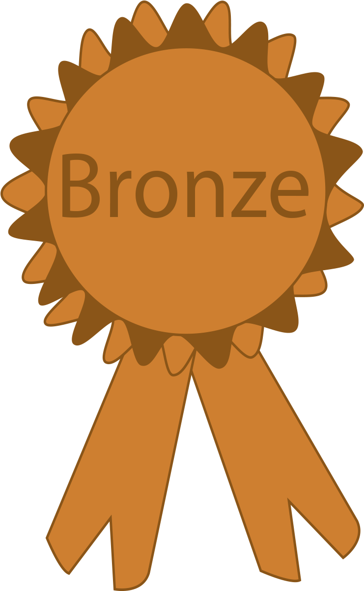 Bronze Medal Graphic - Bronze Medal (769x1200), Png Download