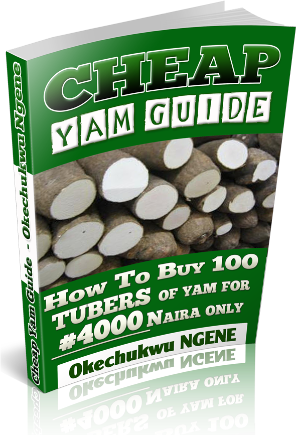 How You Can Make N - Paper (600x871), Png Download