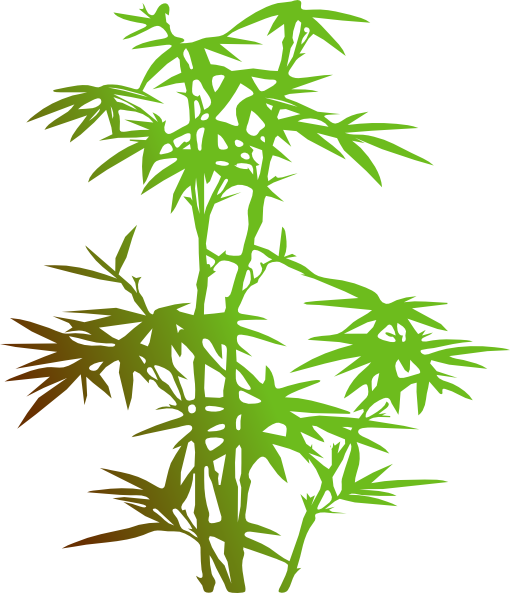 Bamboo Svg Clip Arts 510 X 593 Px (510x593), Png Download