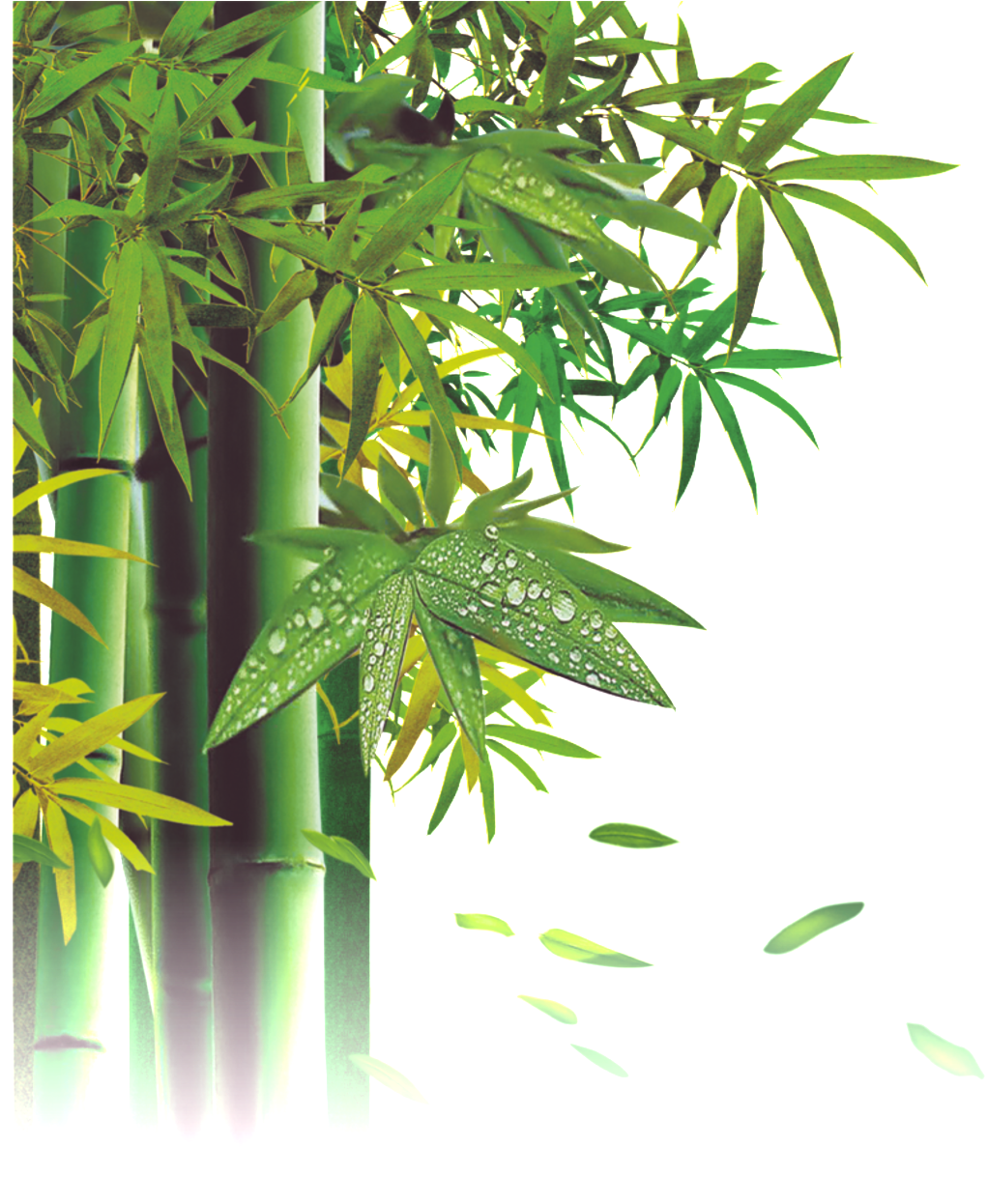 Png De Bambú - Poster Nature Template Free (1024x1321), Png Download