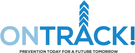 Needle And Drug Litter Survey - Company (500x300), Png Download