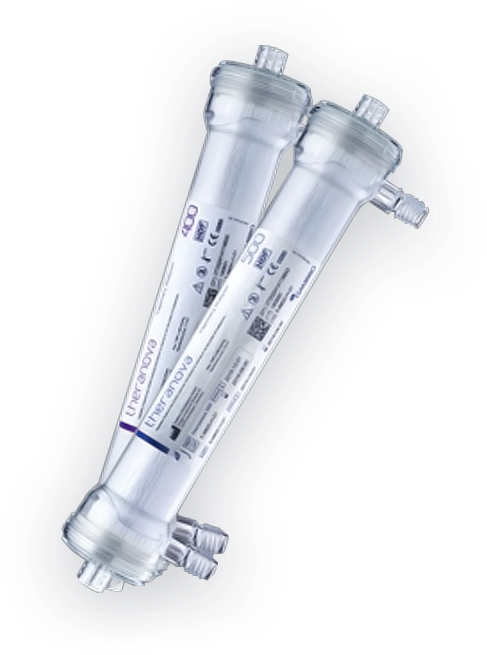 Hdx Enabled By Theranova Is A New Dialysis Therapy - Kidney (600x670), Png Download