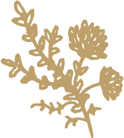 Flowersprigs Gold Sm - Illustration (1000x450), Png Download