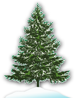 Home - Christmas Tree Lot Clipart (502x323), Png Download