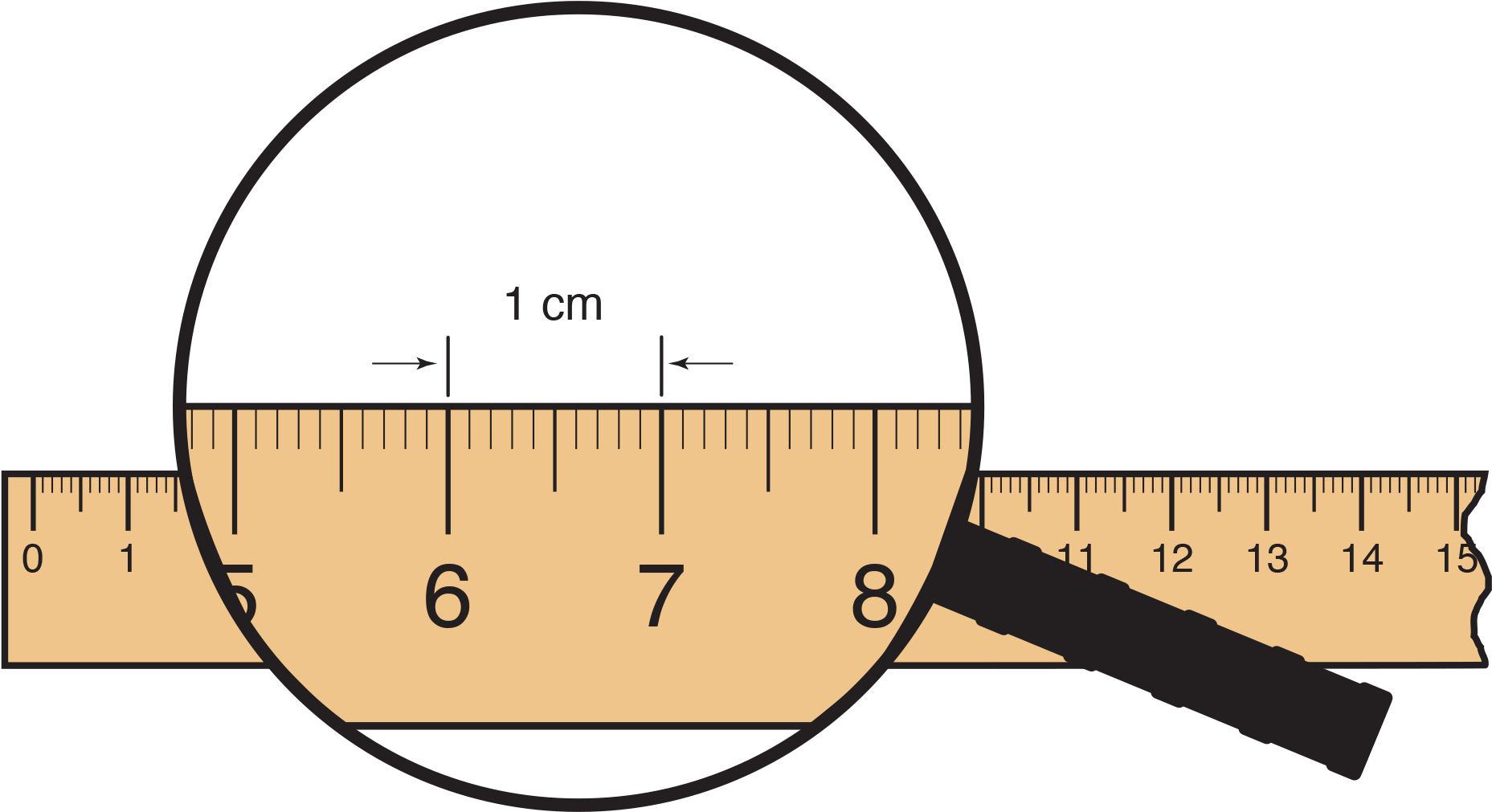 Centimeter X - Meterstick Cartoon (1941x1068), Png Download