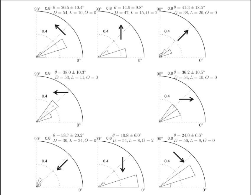 Clipart Transparent Angle Histogram For The - Circle (850x658), Png Download