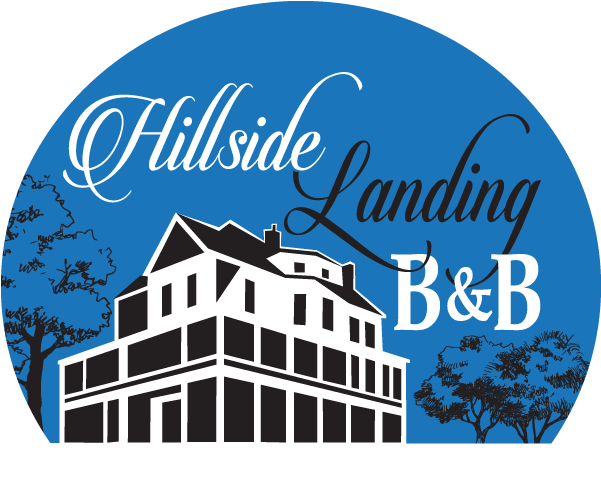 Graphic Design (600x490), Png Download