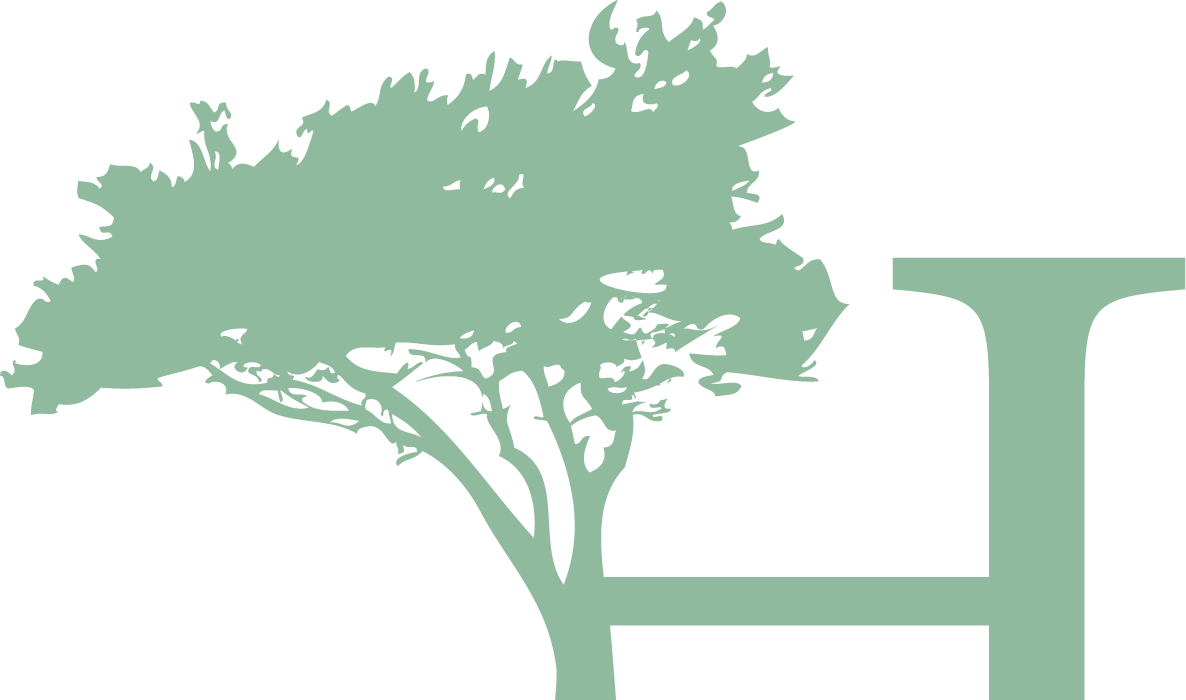 Jack Pine (1186x700), Png Download