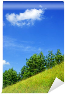 Field (400x400), Png Download