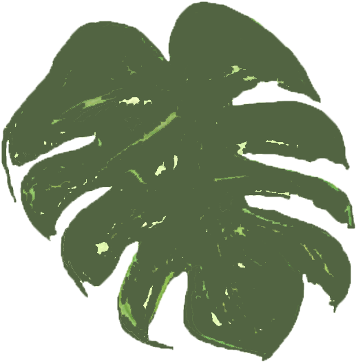 Palmeras Tropicales Png (542x542), Png Download