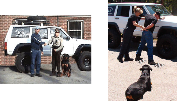 Attention Police K-9 Division Supervisors And/or Officers - Police Dog (580x339), Png Download