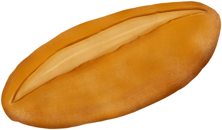 Bread, French Toast, Baking, Bakery, Foodstuff, Eat - Bread (960x575), Png Download