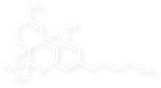 The Sticker Consists Only Of The White Area Shown Below - Monochrome (400x400), Png Download